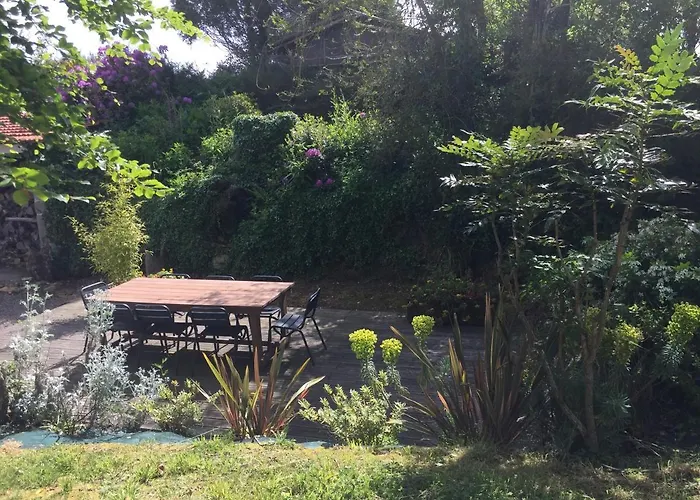 La Maison Perchée *